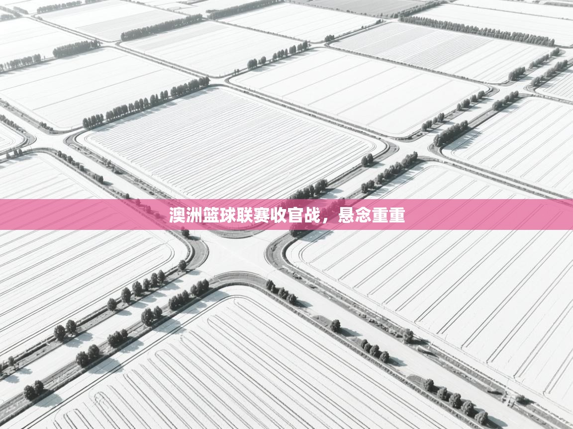 澳洲篮球联赛收官战，悬念重重  第2张