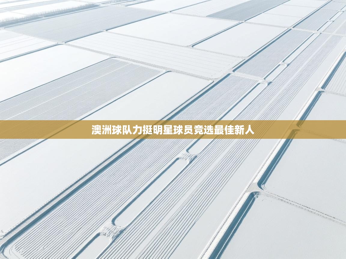 澳洲球队力挺明星球员竞选最佳新人 第2张